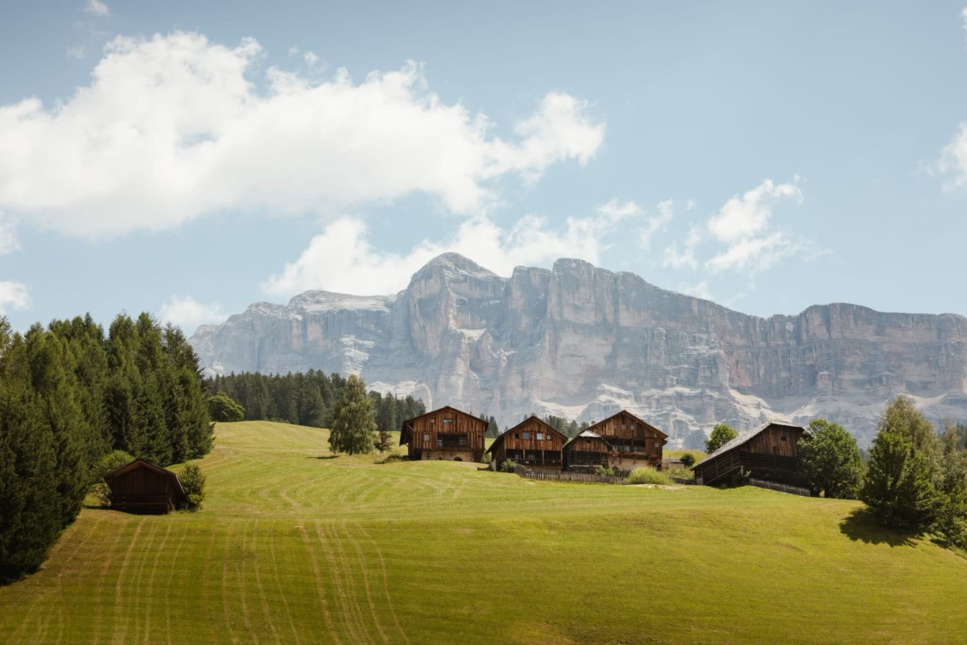 Prati e sentieri d’estate